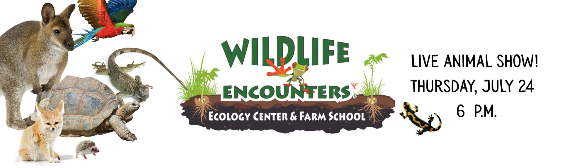 A promotional banner for the Wildlife Encounters Ecology Center & Farm School live animal show, featuring images of a kangaroo, parrot, tortoise, snake, kitten, hedgehog, and salamander. Event is Thursday, July 24 at 6 p.m.